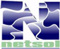 NetSol Technologies, Inc
