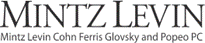 MintzLogo2010_Black
