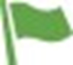 flag.jpg