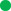 [MISSING IMAGE: ic_circlegreen-4c.jpg]