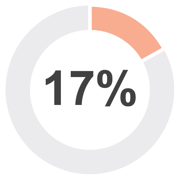 17%_2.jpg