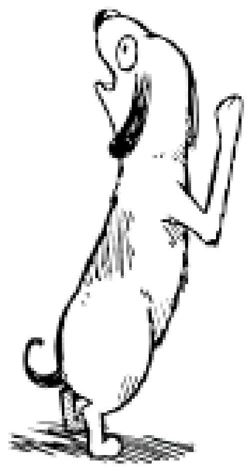 vectorillustrations-02.jpg