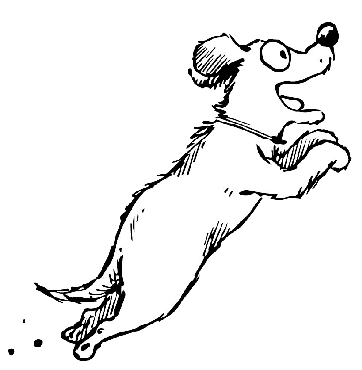 vectorillustrations-12.jpg