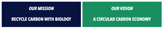 A green and blue squares with white text

Description automatically generated