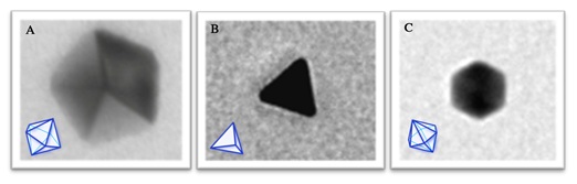 fig1.jpg