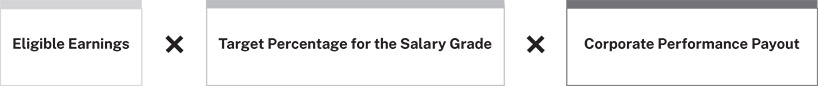 [MISSING IMAGE: fc_annualincentive-bw.jpg]