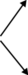 04_FLS_PXY_2026_Award Structure_arrow up and down.jpg