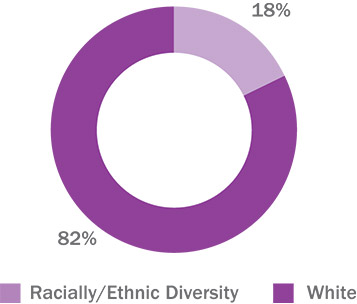 [MISSING IMAGE: pc_diversity-pn.jpg]
