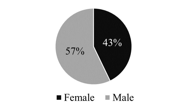Graphic
