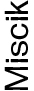 icon_miscik.jpg
