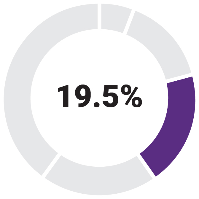 p6_piechart-optionsceo.jpg