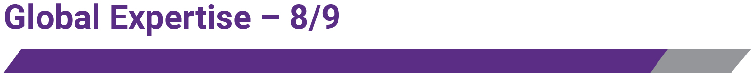 pg12-bar_globalexpert.jpg