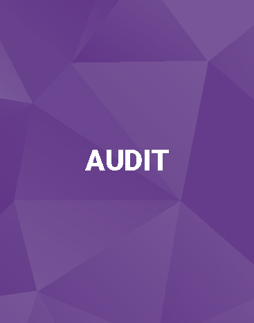pg_18xgraphicaudit.jpg