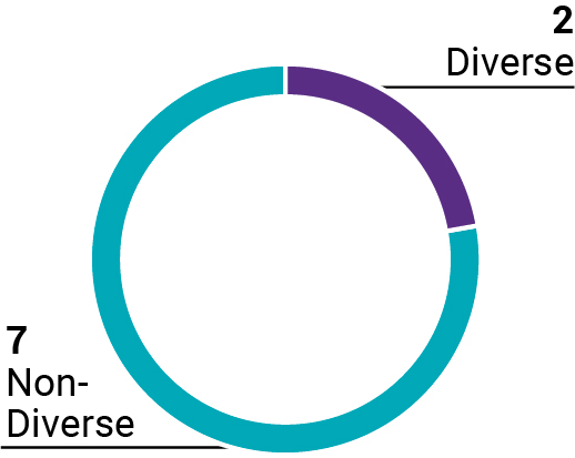 p9_piechartxdiversity1.jpg