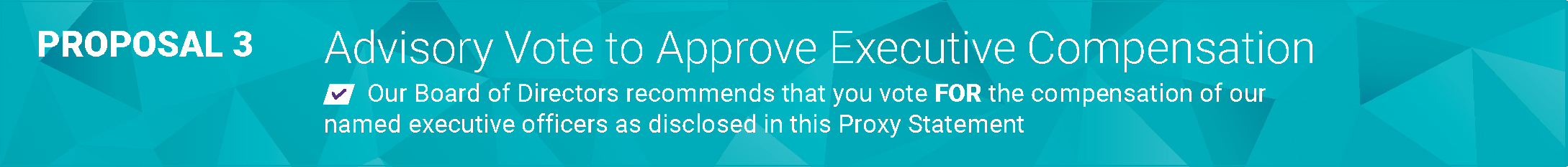 pg_41xgraphicxproposal31.jpg